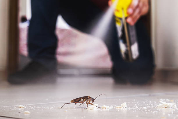 Best Pest Prevention Services  in Linglestown, PA