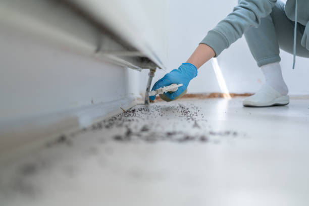 Best Flea Control Services  in Linglestown, PA